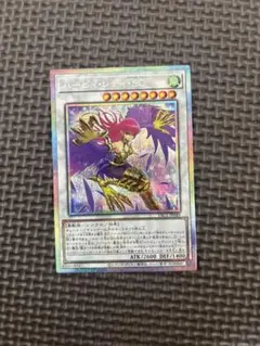 YAC1 ハーピィ・レディ・SC プリシク ハーピィレディ