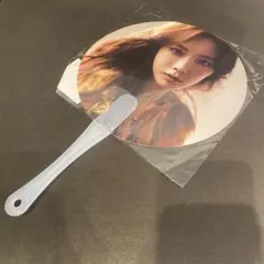 少女時代 テヨン TAEYEON SHOW CASE TOUR 2018 うちわ