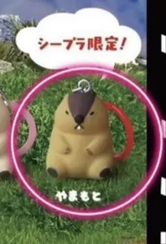 マーモットのもっとっと　ここだよますこっと　シープラ限定　やまもと