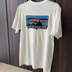 パタゴニア P-6ロゴ フィッツロイ Tシャツ　Sサイズ　usa製のサムネイル