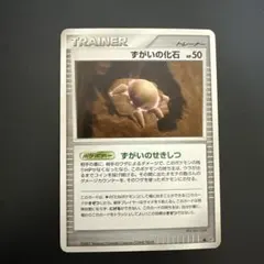 すがい、たての化石。キラ　プロモ　2007 2026年最新】ずがいの化石の人気アイテム - メルカリ