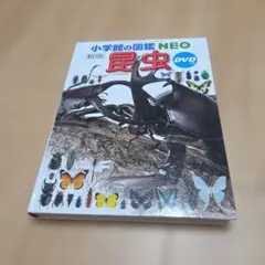 新版 小学館の図鑑NEO 昆虫 DVDなし
