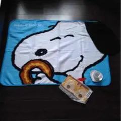 イチゴ様専用です！スヌーピーブランケットなど３点セット