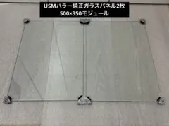 2026年最新】ガラス USMハラーの人気アイテム - メルカリ