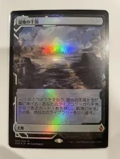MTG 湿地の干潟 日本語版 ゼンディカー エクスペディション foil 1枚