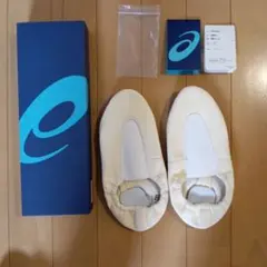 24.5 新品　ASICS　tgy501-02 体操シューズ