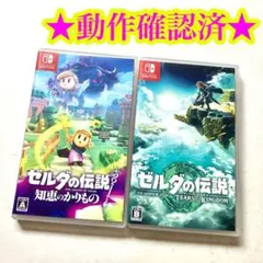 Switch ゼルダの伝説 知恵のかりもの ティアーズ オブ ザ キングダム
