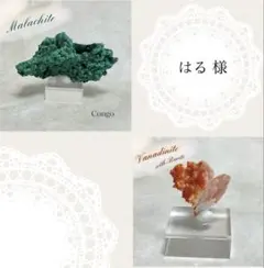 【D254】はる様 リクエスト 2点 まとめ商品