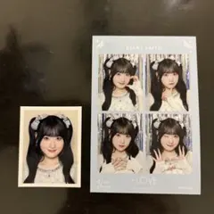 Item thumbnail for item 6a8655bd-358d-4625-a773-7362bb3b9402