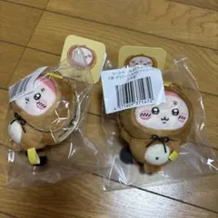 ちいかわ　たぬきだもんくじ　C賞 古本屋×2