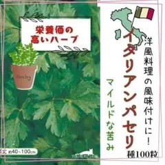 【ハーブの種】イタリアンパセリの種５０粒　栄養価高く洋風料理の風味付けに◎！