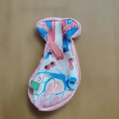 サイエンステクニカラー　心臓構造模型ポーチ