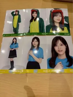 池田瑛紗 真夏の全国ツアー2026 ツアーTシャツ 恐竜 福井 6種 - メルカリ