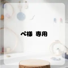 ぺ様　専用ページ