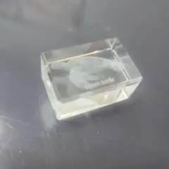 Crystal Cuboid mini アオウミガメ