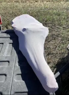 Item thumbnail for item b3165ed2-1852-4bd0-830b-e3f594d9a50c