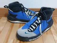 Nike ハイカットスニーカー 青/灰色