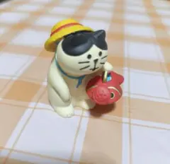 コンコンブル (水遊び子猫)