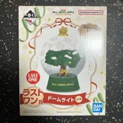 ミセス　ラストワン賞　ドームライト