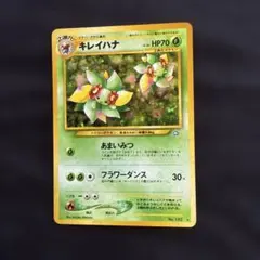 2026年最新】キレイハナ 旧の人気アイテム - メルカリ