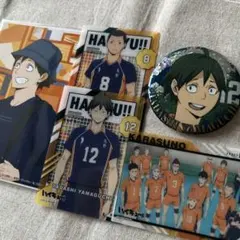 ハイキュー　ゴミ捨て場の決戦　缶バッジ　写真　クリアカード　烏野　山口