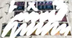 TCG様　ズバット3枚、ゴルバット　計4枚　ロケット団マークミラー