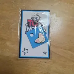 Straykids SKZTOYWORLD FCくじ [Foxl.Ny]