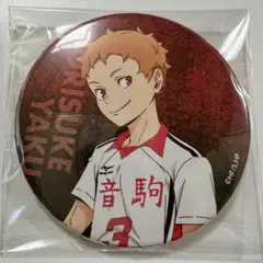 最安値】 ハイキュー 横断幕 缶バッジ レア グリッター 天童 覚 - メルカリ