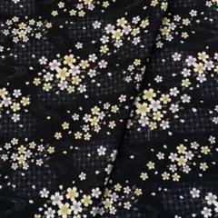 Item thumbnail for item d7c0fb11-fe58-4f21-aaf1-355cee5014cf