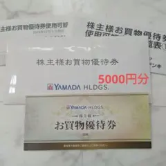 ヤマダ電機　お買い物優待券（5000円分）