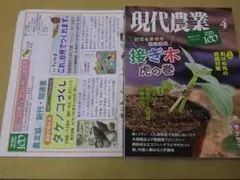 現代農業 2019/2022年4月号 2冊セット
