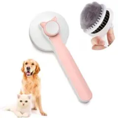 Item thumbnail for item 49ed4acb-1373-42a1-8bbb-752e25101090