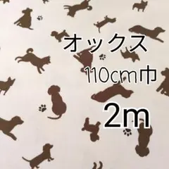 Item thumbnail for item faa9addd-ce0d-46ed-9a6a-39480a01fe7f