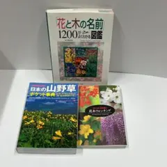 2026年最新】北海道植物図譜の人気アイテム - メルカリ