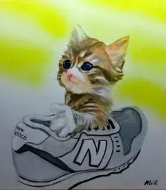 最新 亜麻猫2025 常温発送致します。価格交渉致します - メルカリ