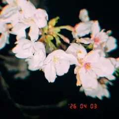 まーりる様専用