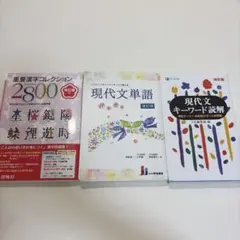 現代文大学受験参考書2冊まとめ売り 現代文キーワード読解・入試漢字