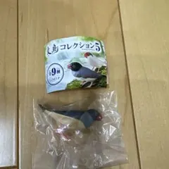 Item thumbnail for item 6aa535d8-2c68-4332-a92d-cf0a24f90545