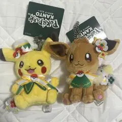 ポケパークカントー限定 ぬいぐるみ ピカチュウ イーブイ 2点セット