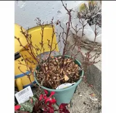 MOMO様 リクエスト 3点 まとめ商品