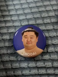 Item thumbnail for item c1dc6a1d-b754-4393-9ceb-73d8c611f35e