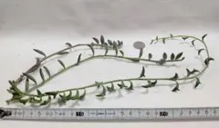 パール様 リクエスト 2点 まとめ商品