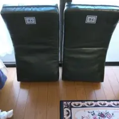ウイニング 緑色キックミット2個セット - メルカリ