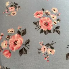 ラミネート生地キャスキッドソン