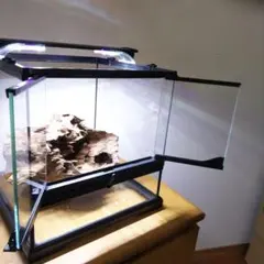 受注生産】鳥かご トカゲ飼育 - メルカリ