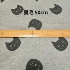 Item thumbnail for item 0ca23294-5b01-41b7-8439-fbe90d934f69