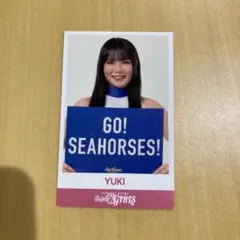 シーホース三河 スーパーガールズ　YUKI