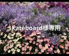 新品レイジーサンデーモーニング