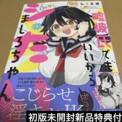 wasyu様 リクエスト 2点 まとめ商品