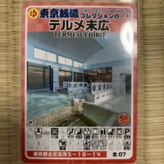 たつの湯 東京銭湯コレクションカード 風呂コレ 練馬29 銭湯トレカ　銭湯カード たつの湯 東京銭湯コレクションカード 風呂コレ 練馬29 銭湯トレカ